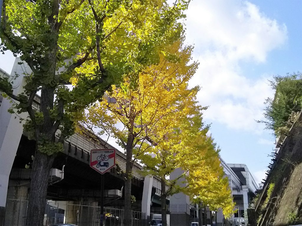 大阪モノレール柴原駅の高架