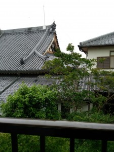 窓からはお寺と緑が見える景色